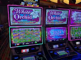 parti togel featured game showcase